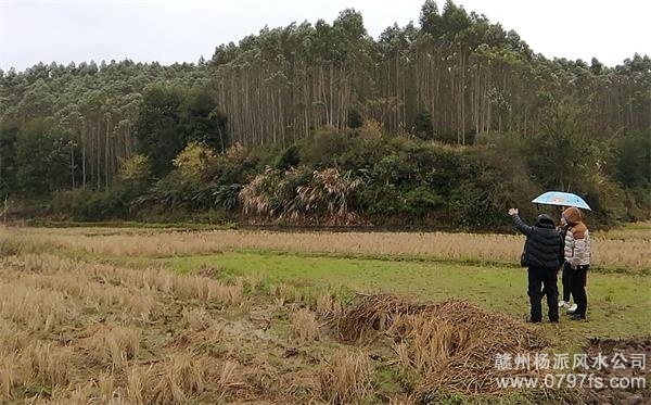 宜春市陈老师带着爱徒寻龙点穴